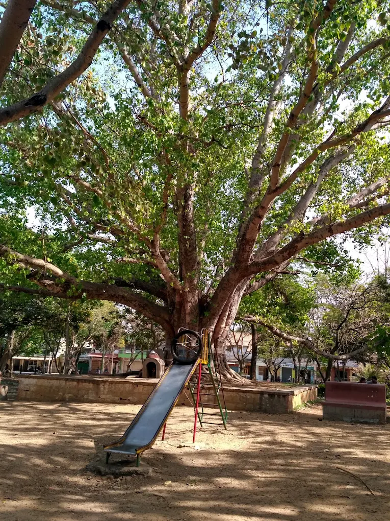 Arlikatte Udyanavana